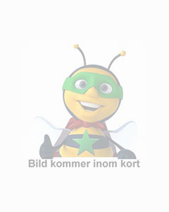 Regent tillbehör Anteckningar - 4633
